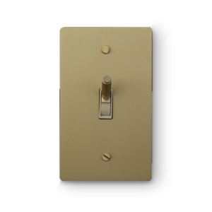 1-Gang Light Switches
