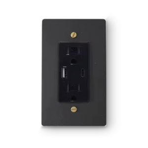 1 Gang USB-A / USB-C Outlet - Black plate, Brass screws - Front view