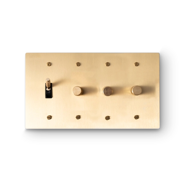 4 Gang 1 Toggle Switch & 3 Rotary Dimmers - Brass plate, Brass screws - Front view