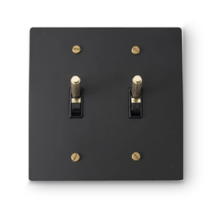 2 Gang Toggle Switches - Black plate, Brass screws - Front view