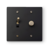 2 Gang Toggle Switch & Rotary Dimmer