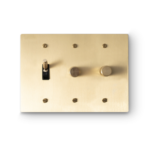 3 Gang 1 Toggle Switch & 2 Rotary Dimmers - Brass plate, Brass screws - Front view