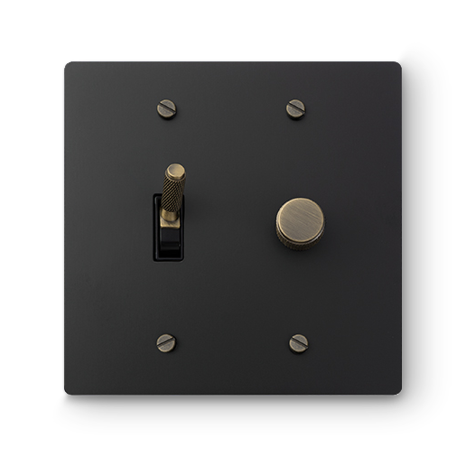 2 Gang Toggle Switch & Rotary Dimmer - Black plate, Bronze screws - Additional front view