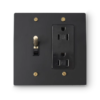 2 Gang Toggle Switch & Duplex Outlet