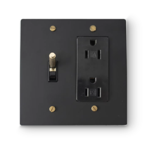 2 Gang Toggle Switch & Duplex Outlet - Black plate, Brass screws - Front view