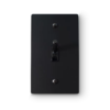 1 Gang Toggle Switch