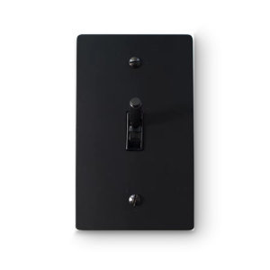 1 Gang Toggle Switch - Black plate, Black screws - Front view
