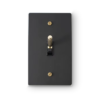 1 Gang 4-Way Toggle Switch