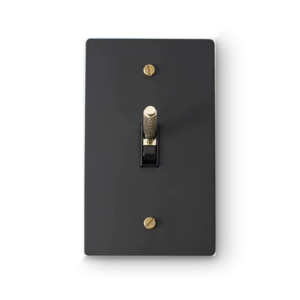 1 Gang 4-Way Toggle Switch - Black plate, Brass screws - Front view