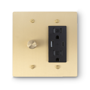 2 Gang Rotary Dimmer & USB-A / USB-C Outlet - Brass plate, Brass screws - Front view